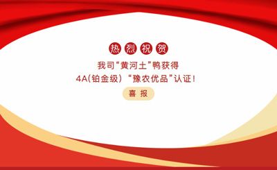 【喜報】—我司黃河土鴨獲4A(鉑金級）“豫農(nóng)優(yōu)品”認(rèn)證！